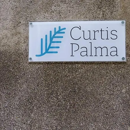 Curtis Palma Апартаменты Катания